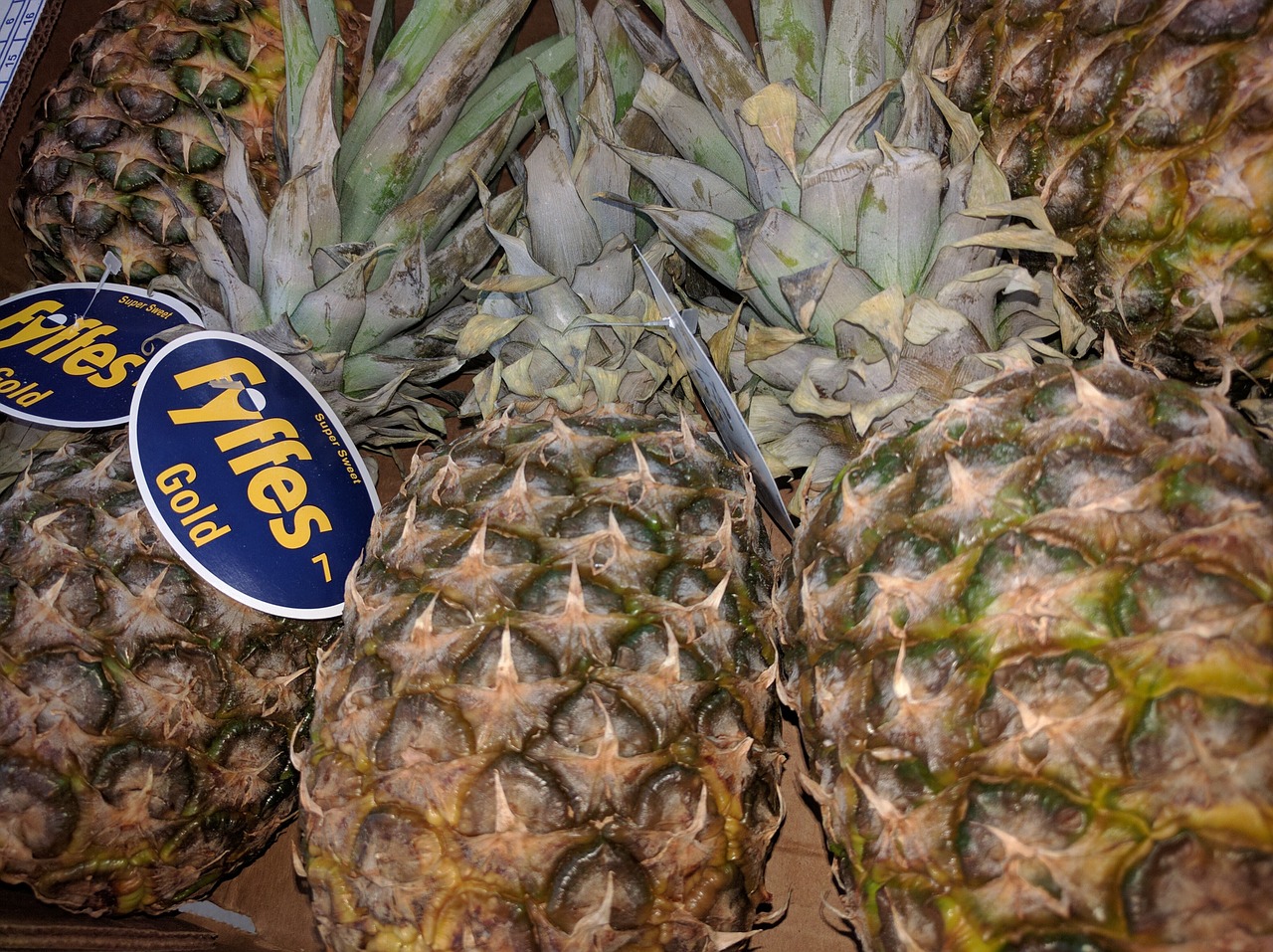 pineapple fruit sweet free photo