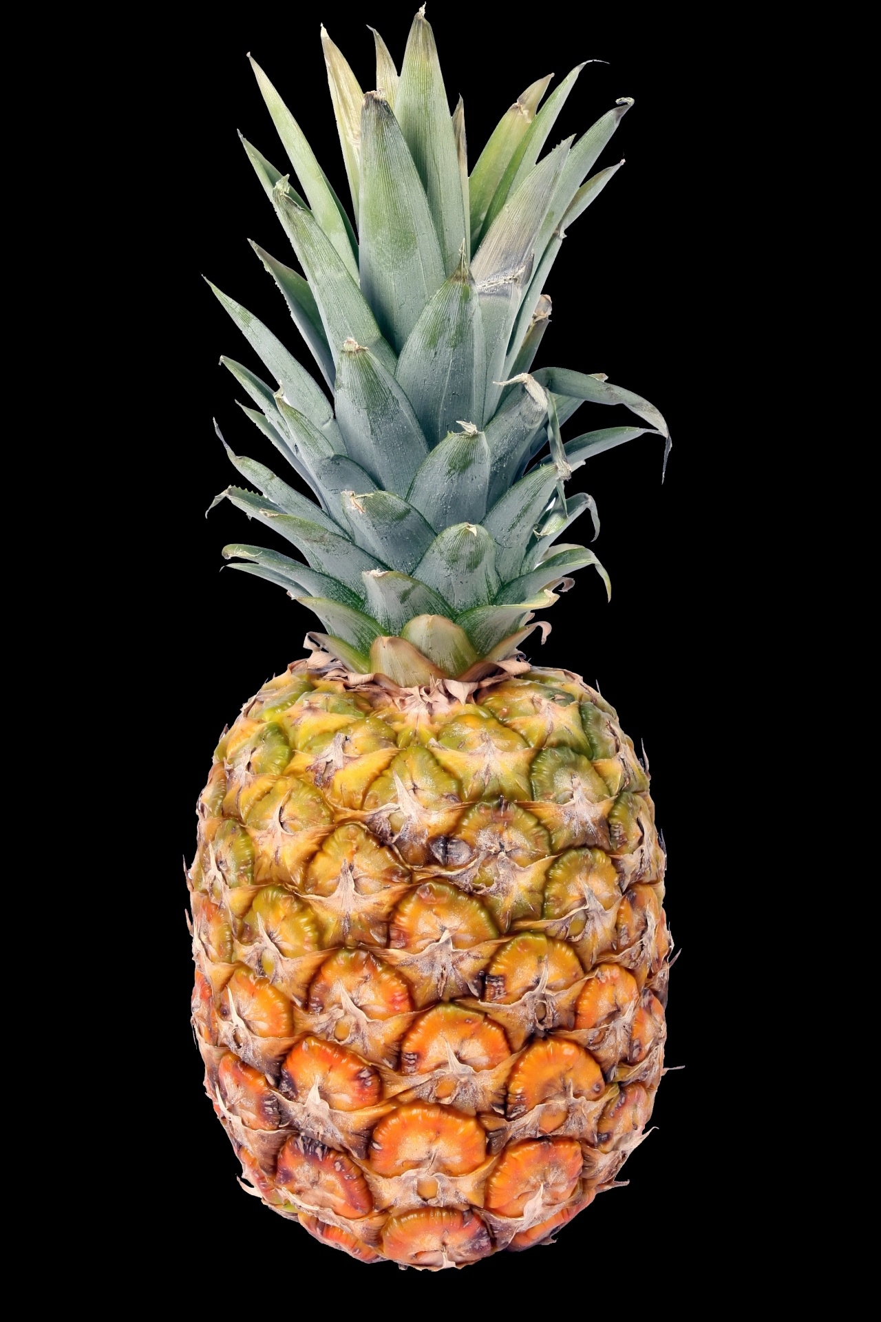 pineapple fruit food free photo