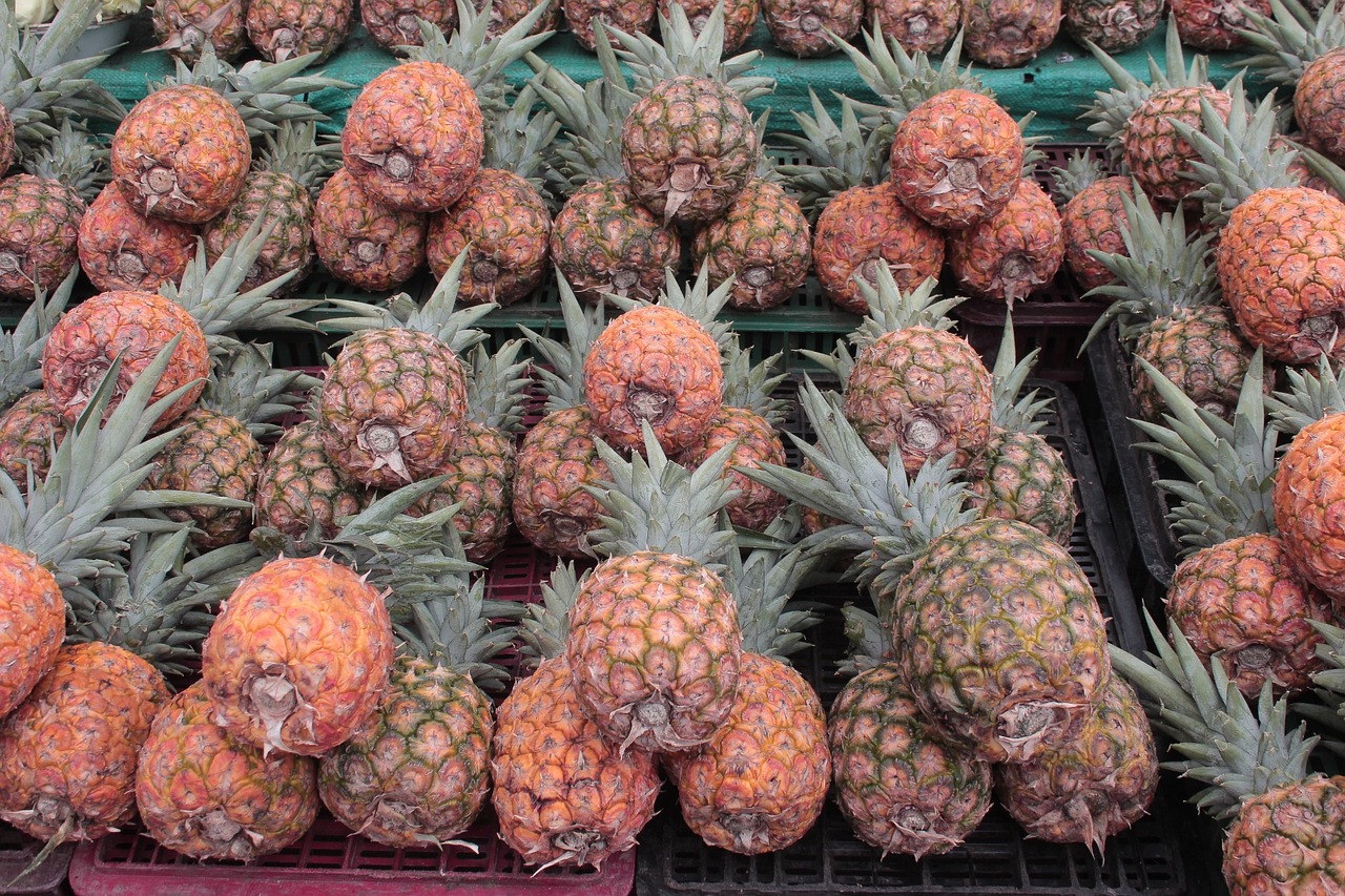 pineapple gallery fruit free photo