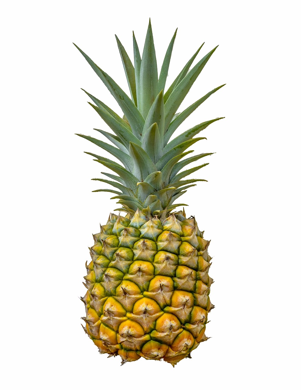 pineapple fruit white background free photo