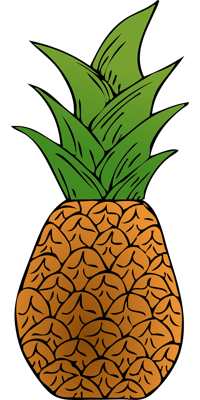 pineapple exotic fruit free photo