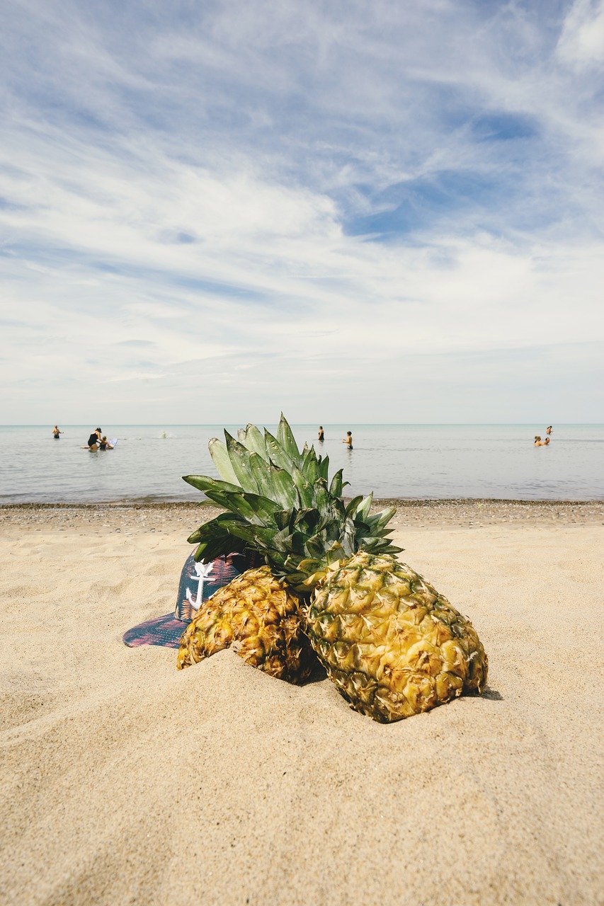 pineapples sand beach free photo