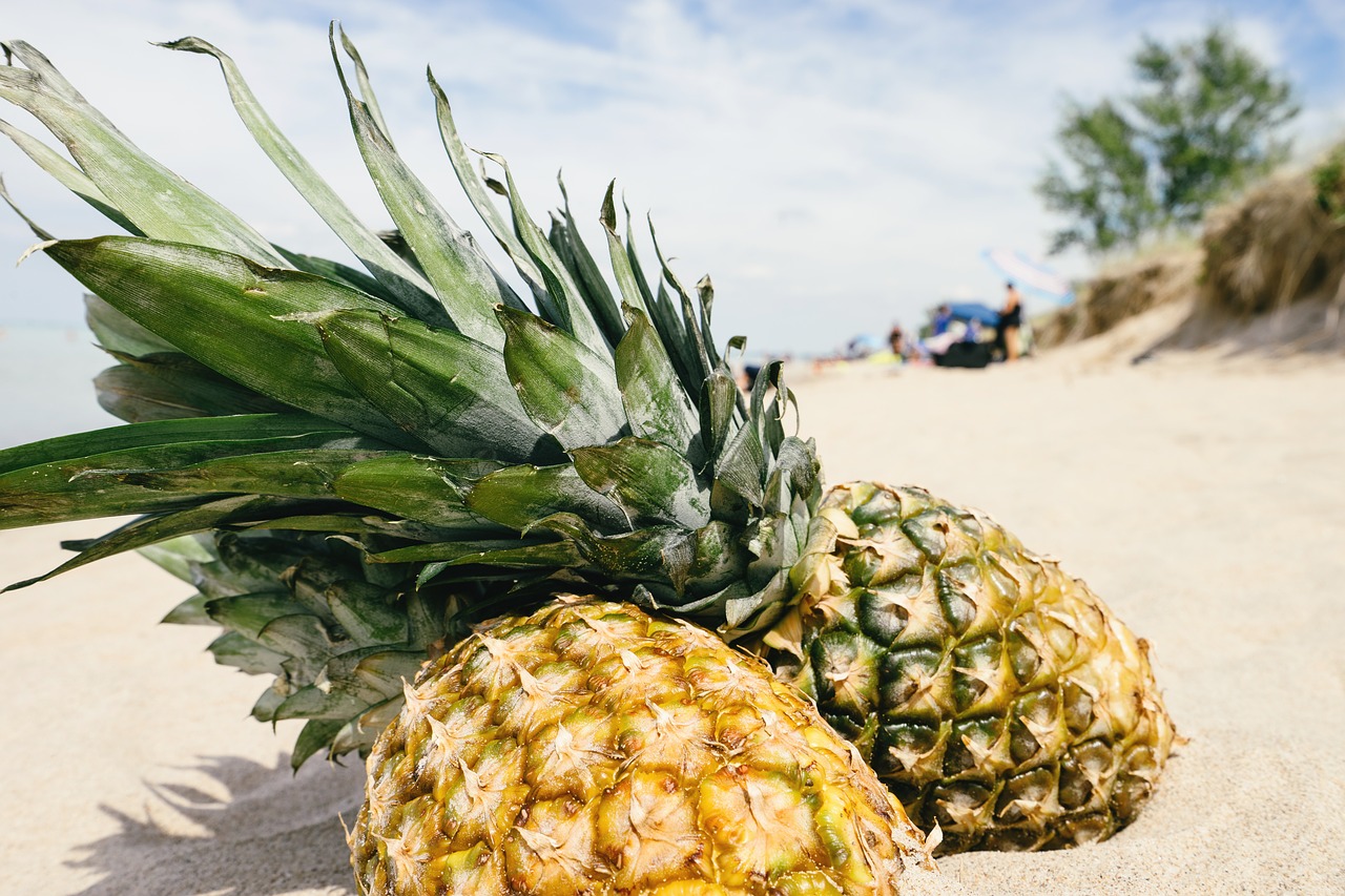 pineapple sand beach free photo