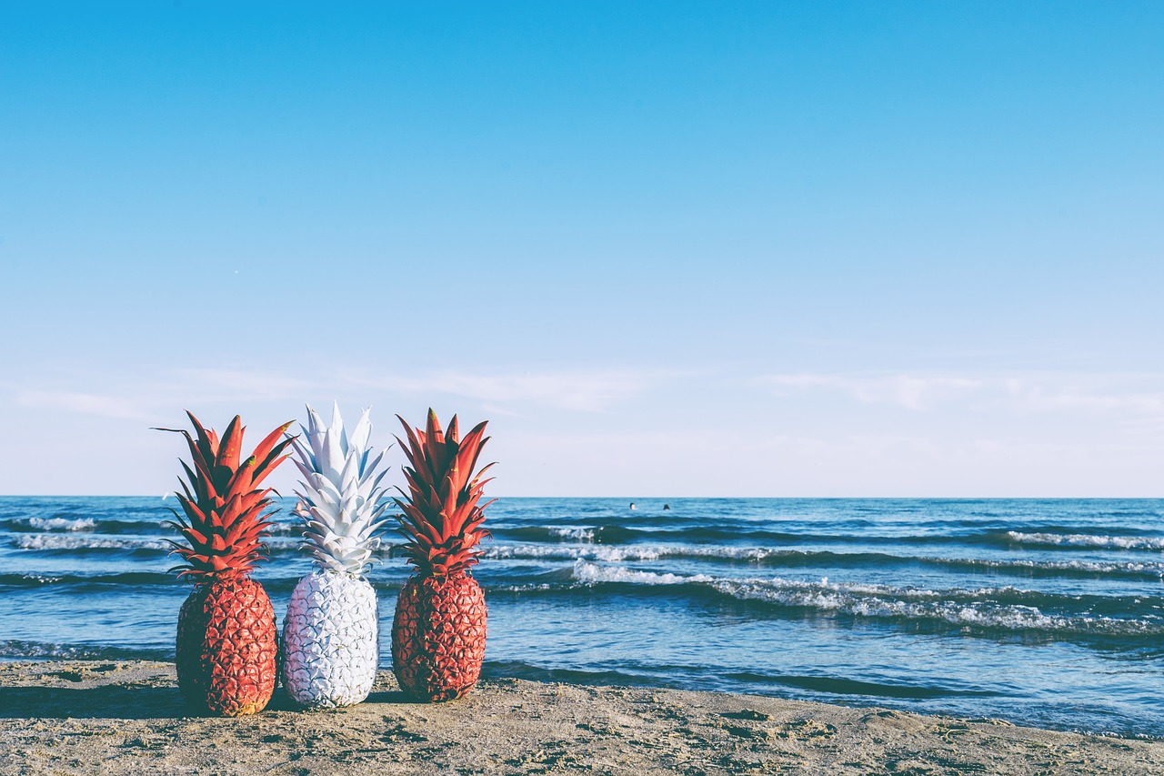 pineapple sunset fruit free photo