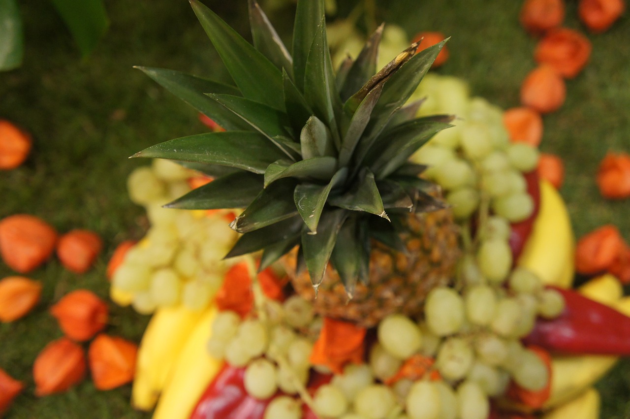 pineapple fruit exotic free photo