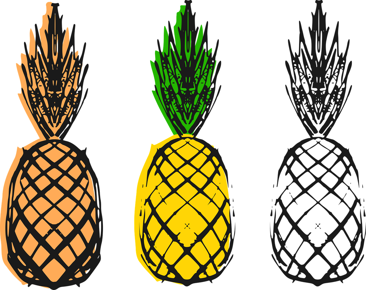 pineapple stencil seal free photo