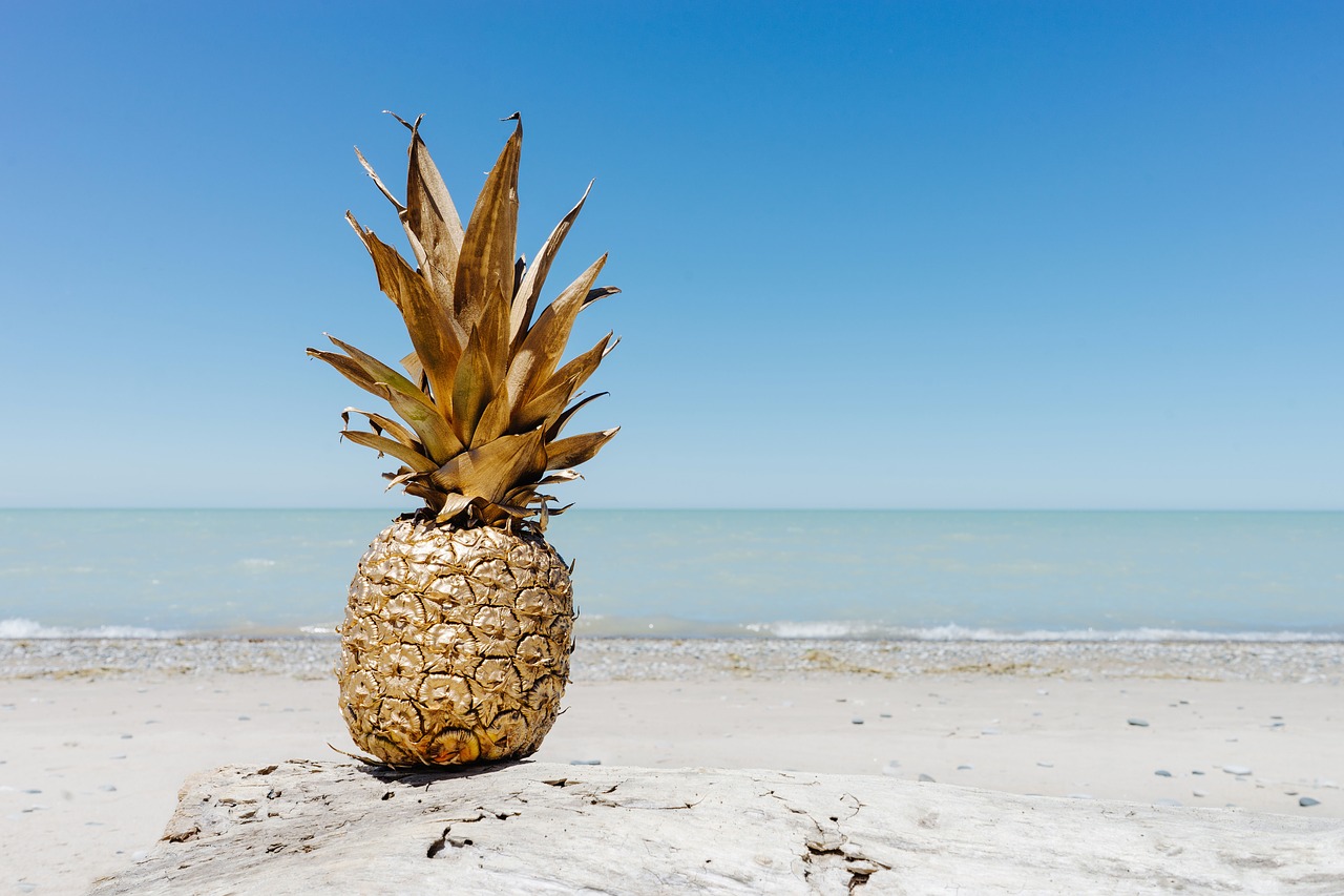 pineapple dessert appetizer free photo