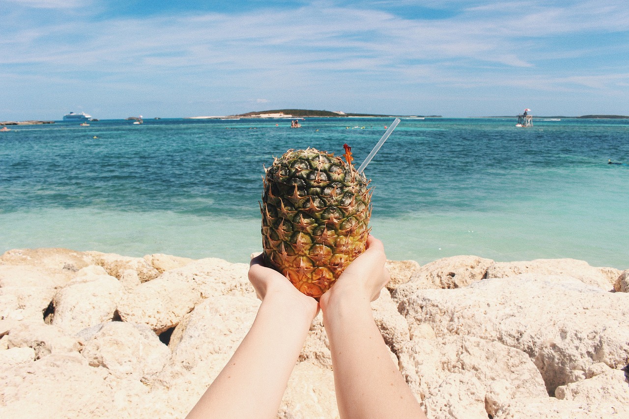 pineapple dessert appetizer free photo