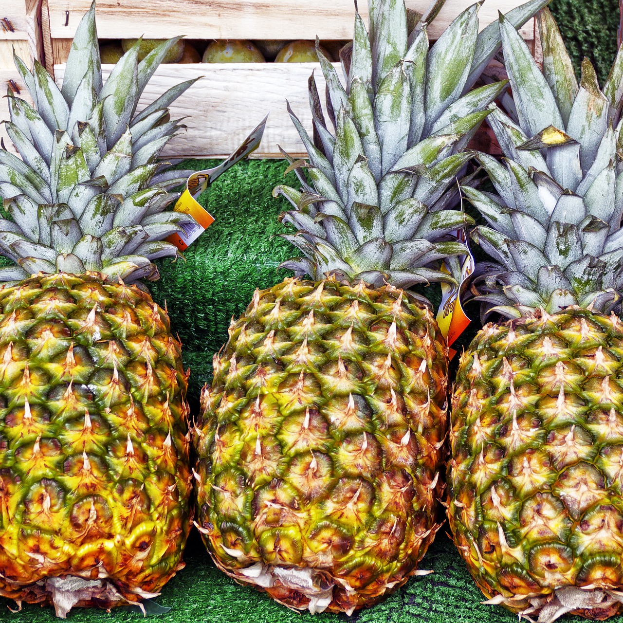 pineapple fruit tropical fruit free photo