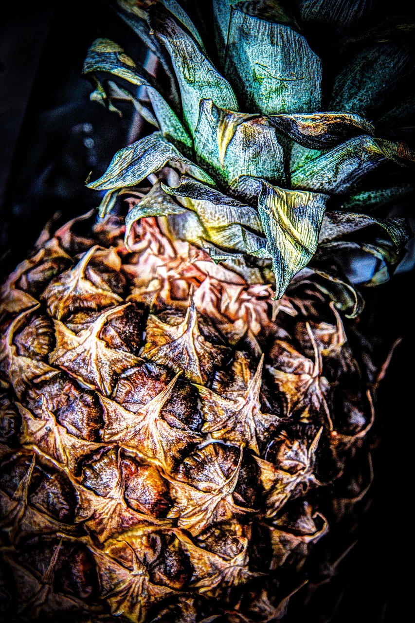 pineapple fruit tropical free photo