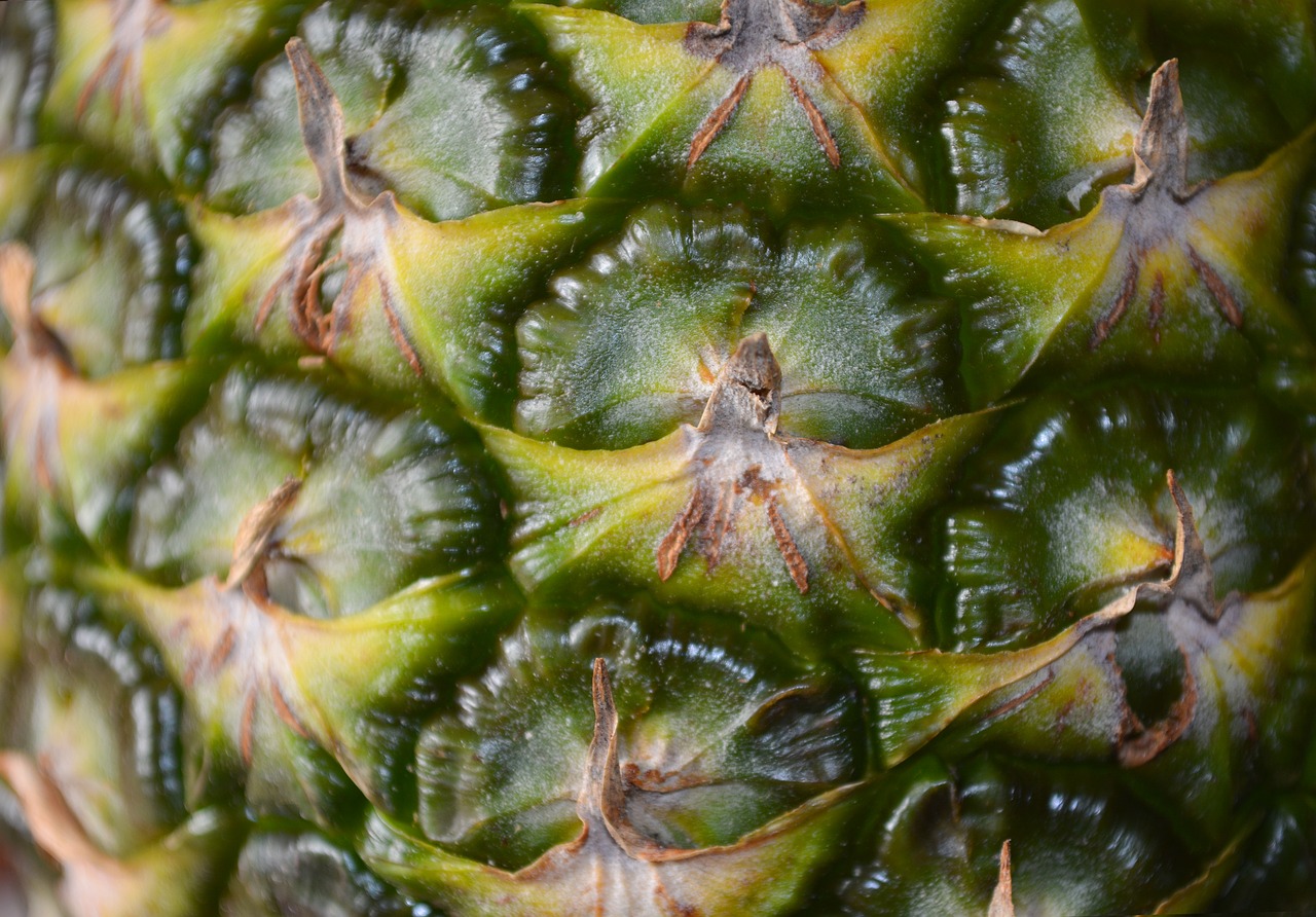 pineapple skin fruit free photo