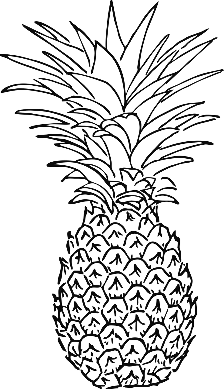 pineapple fruit tropic free photo