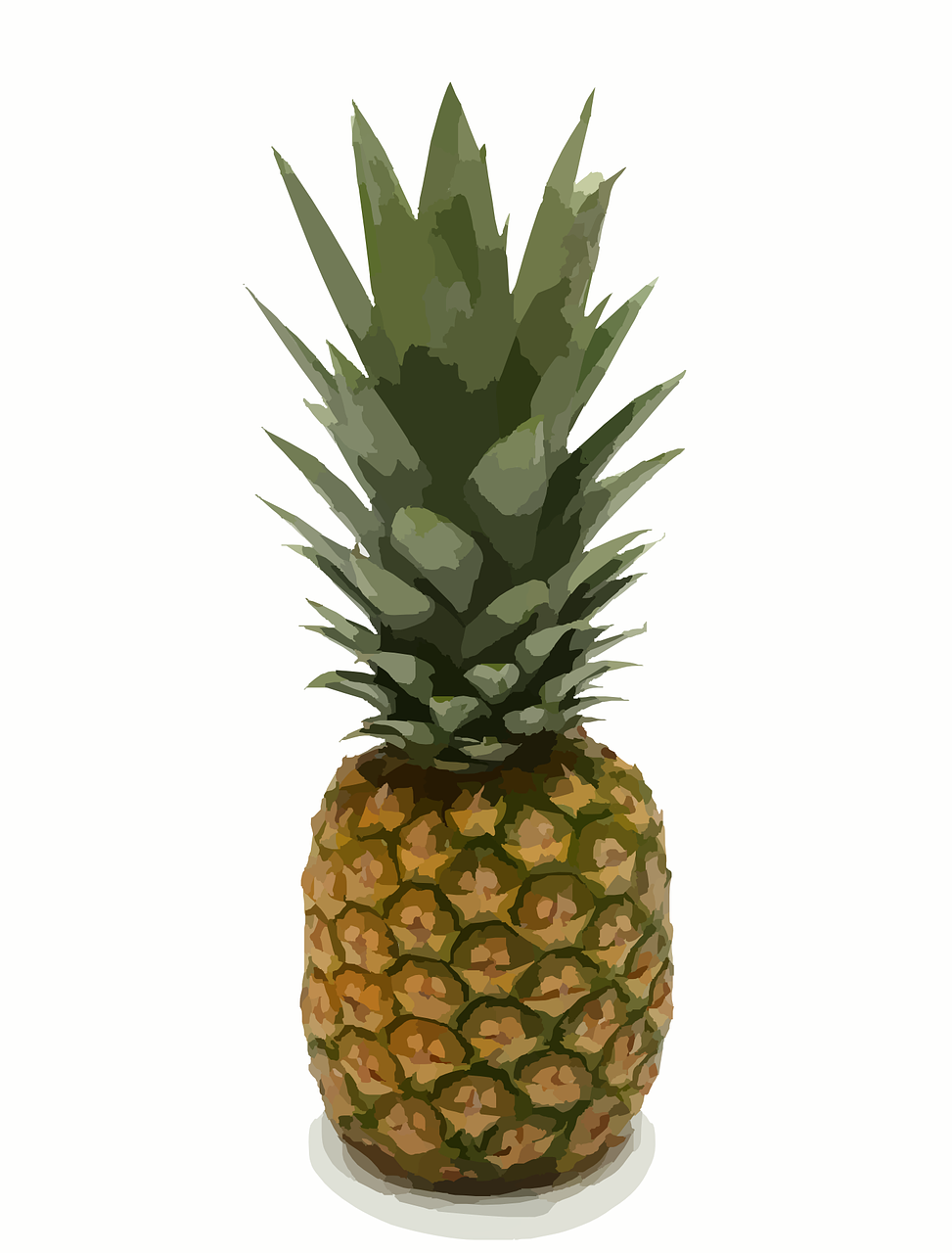 pineapple exotic food free photo