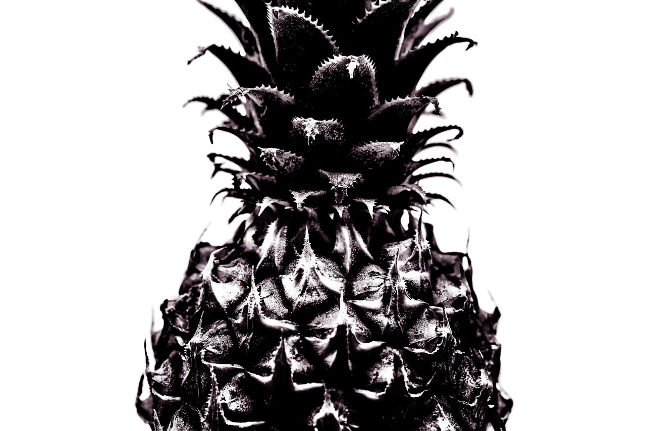 pineapple isolated bw free photo