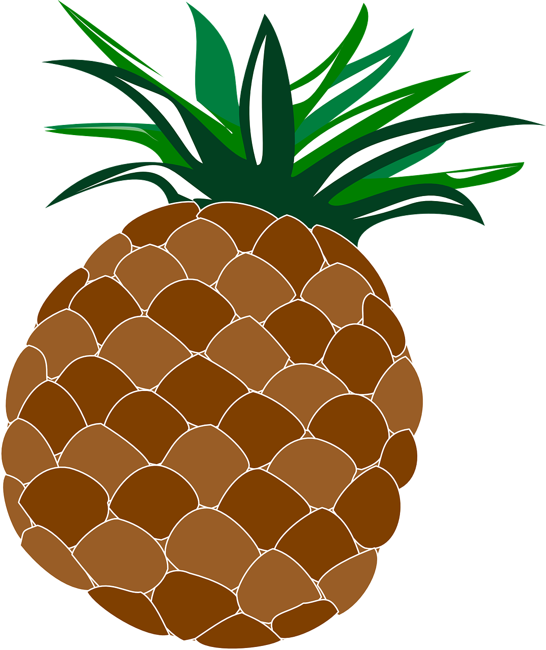 pineapple food fruit free photo