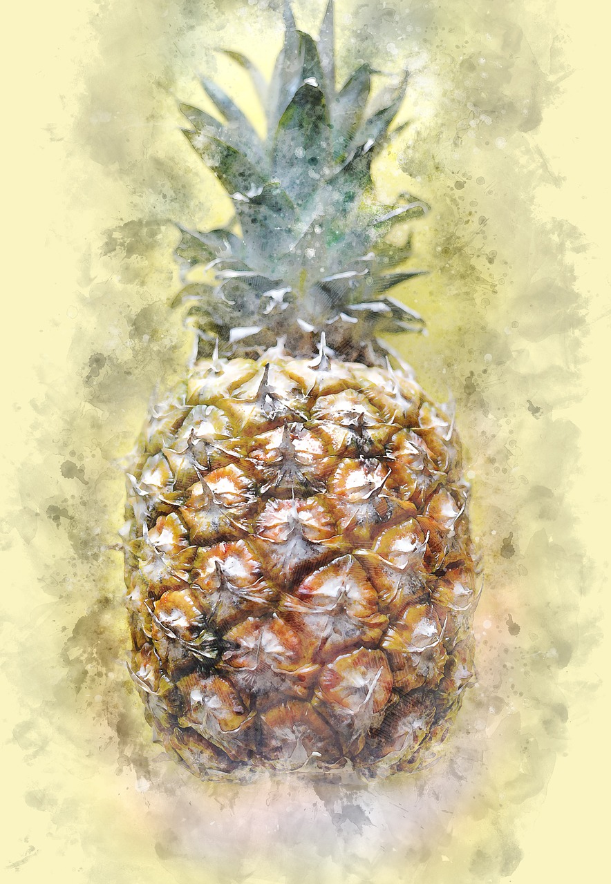 pineapple  tropical  fruit free photo