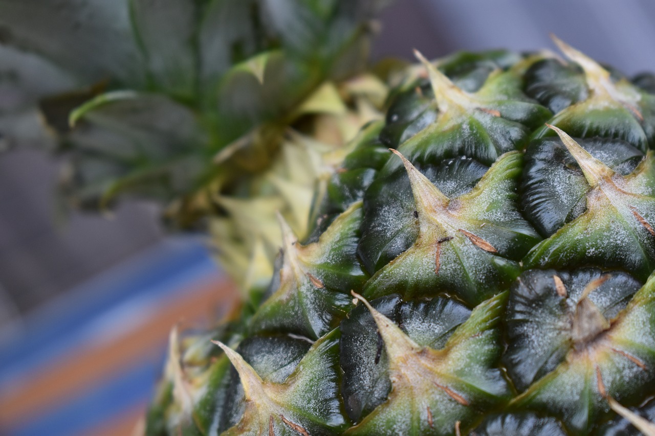 pineapple  fruit free pictures free photo