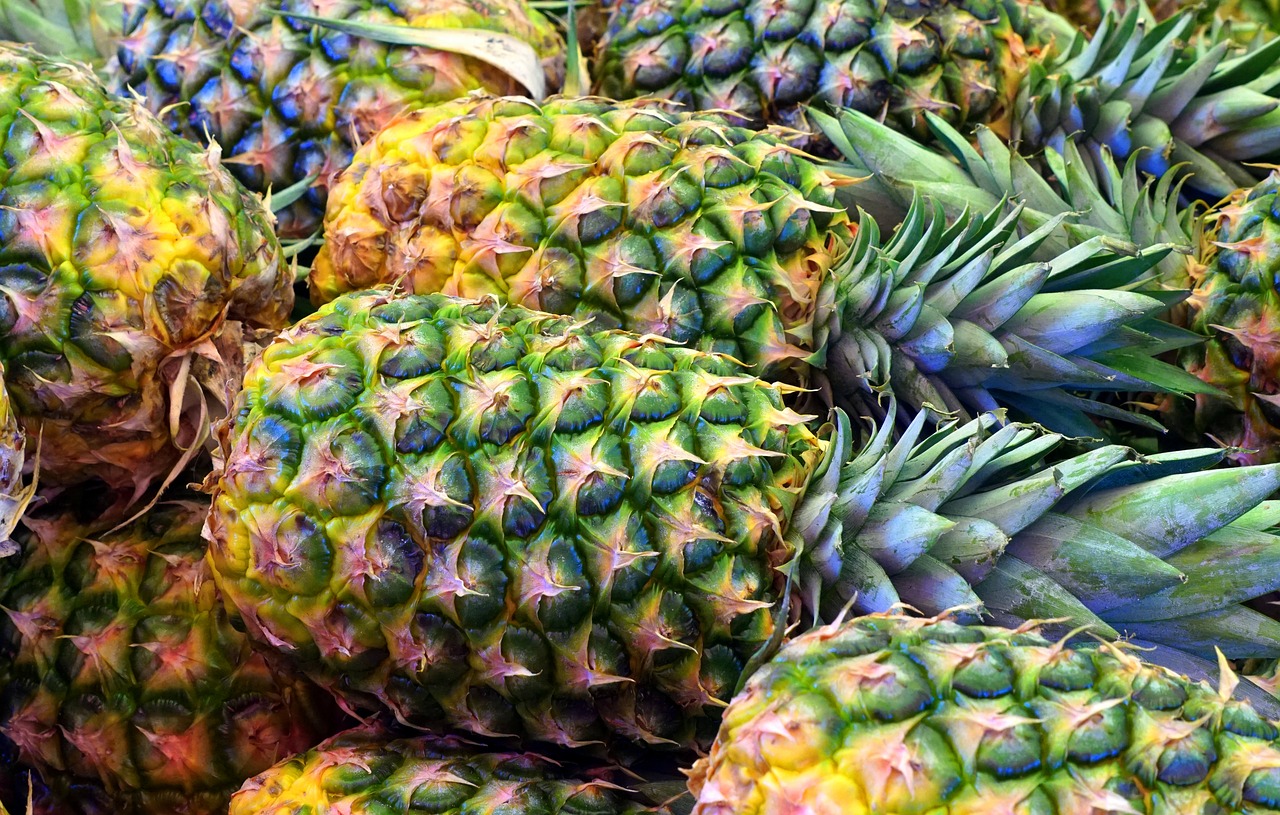 pineapple  fruit free pictures free photo