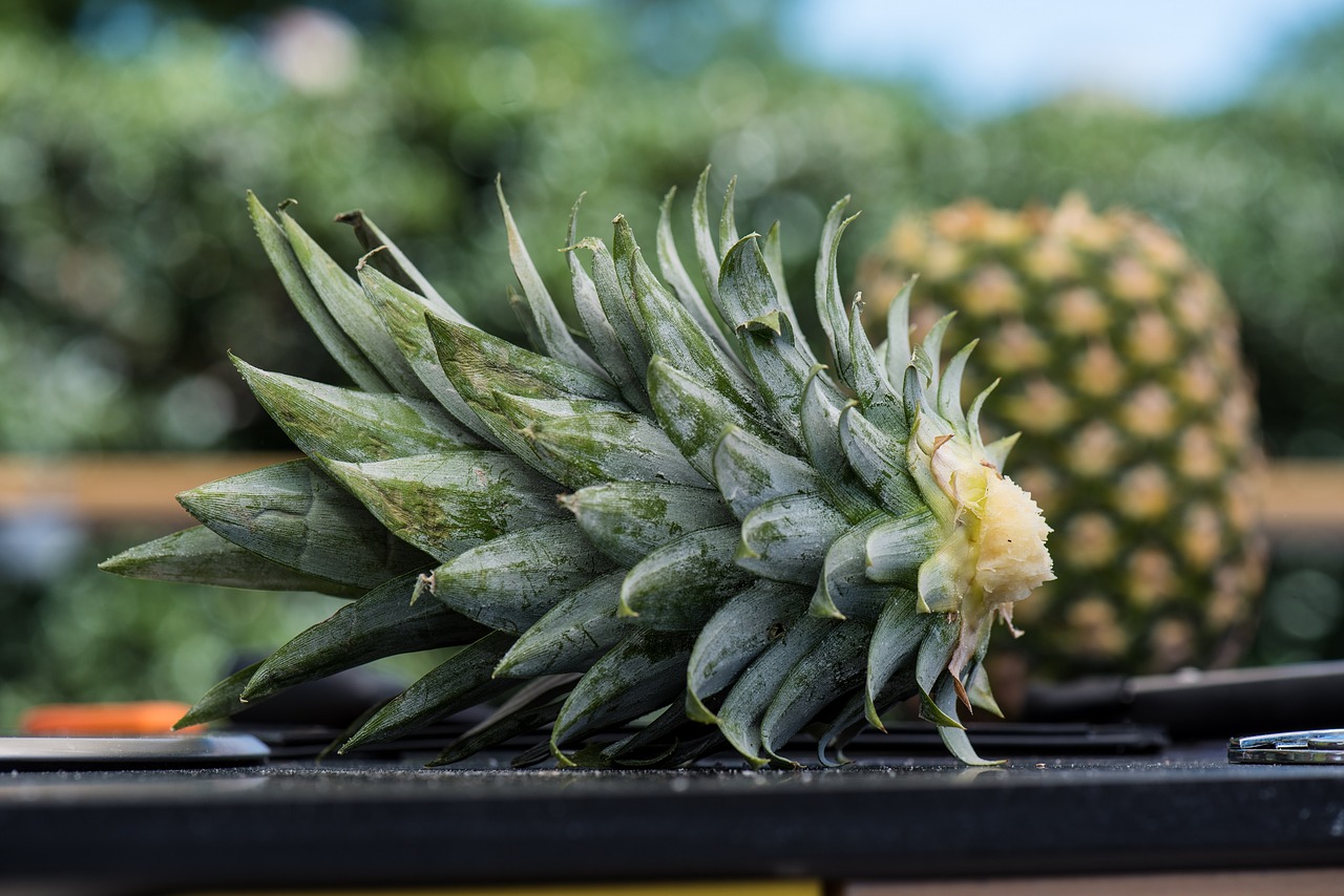 pineapple  farmers market  produce free photo