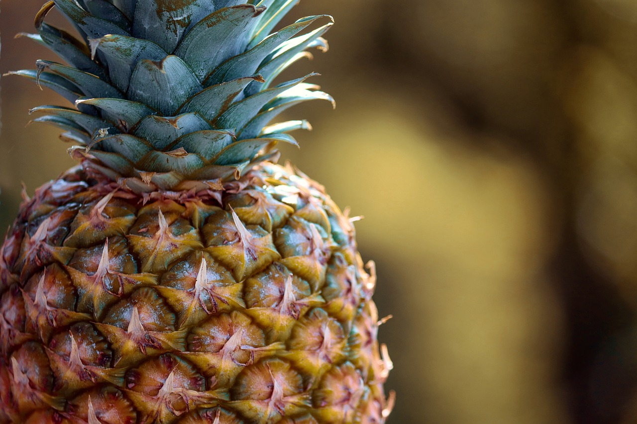 pineapple  tropical fruit  fruit free photo