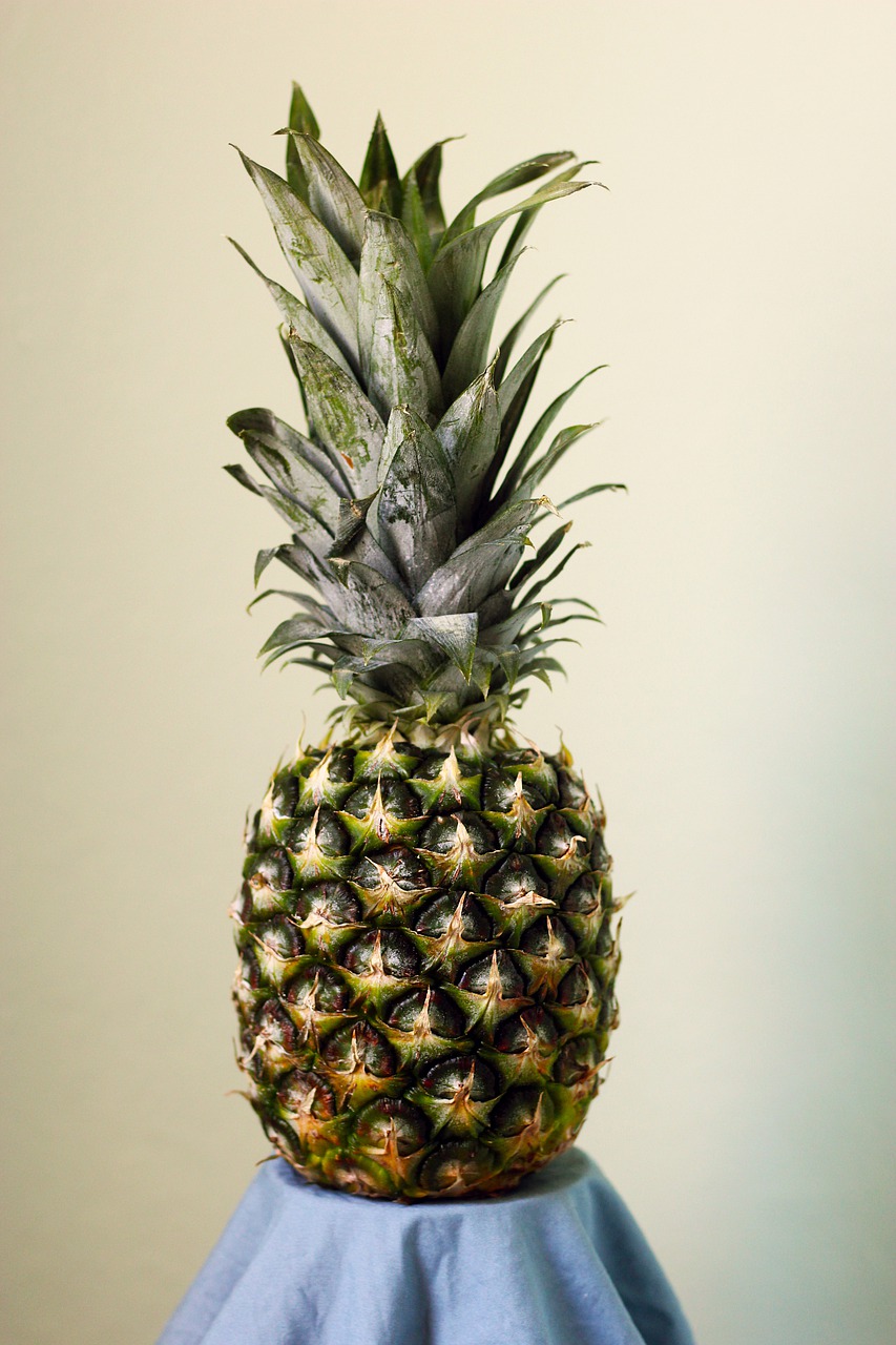 pineapple  fruit  tropical free photo