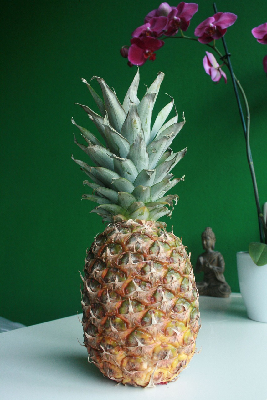 pineapple fruit healthy free photo