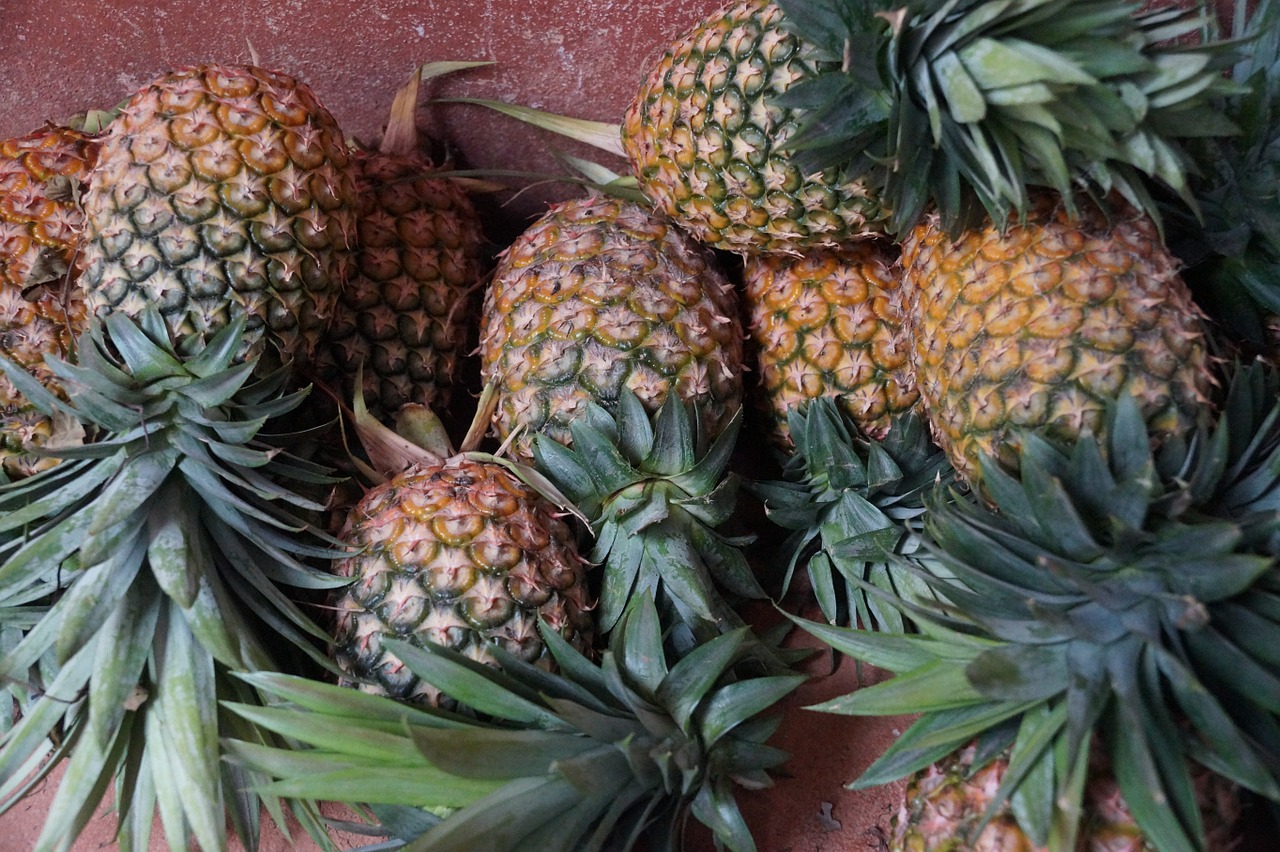 pineapple ripe fruit free photo