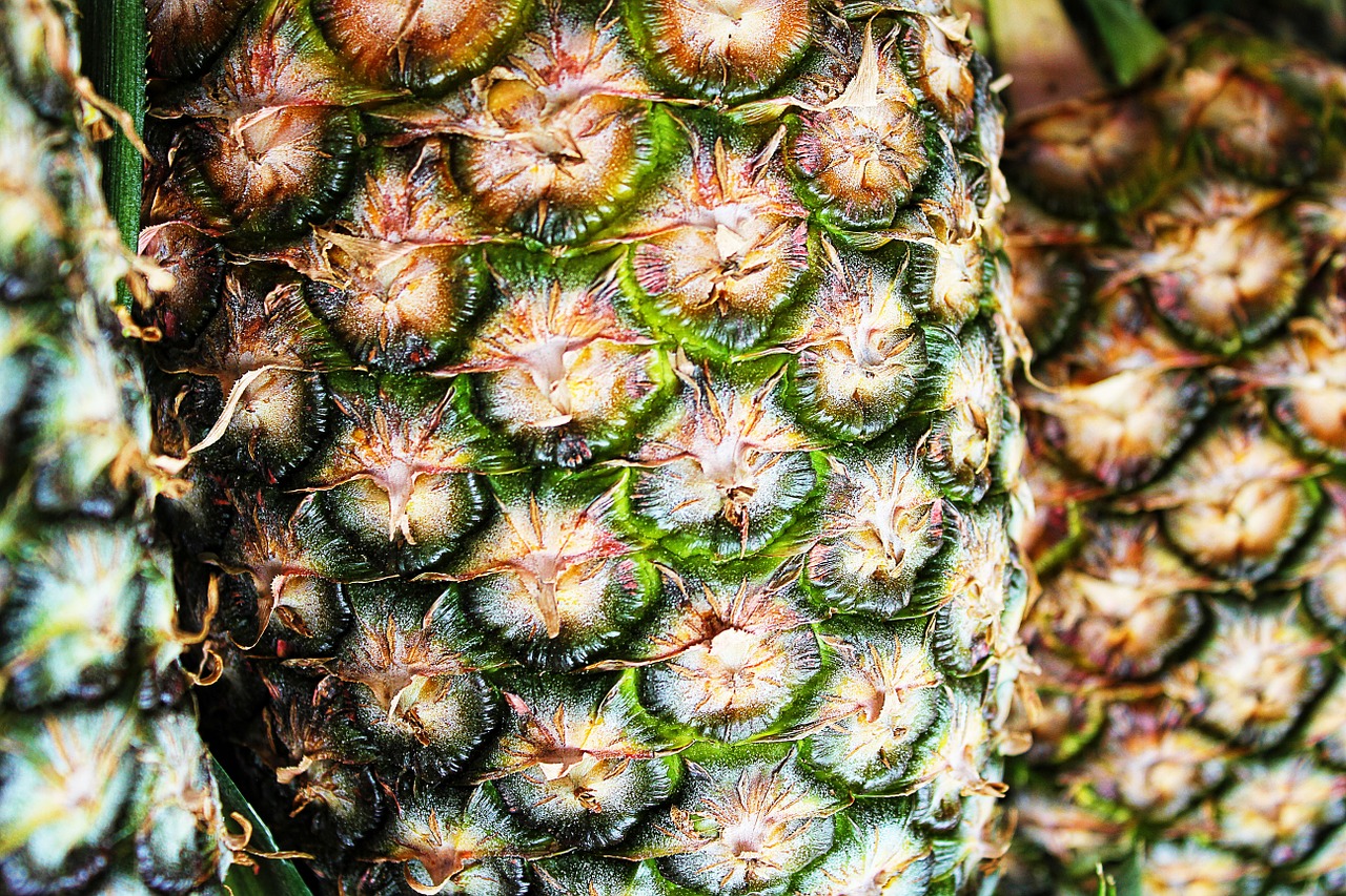 pineapple texture macro free photo