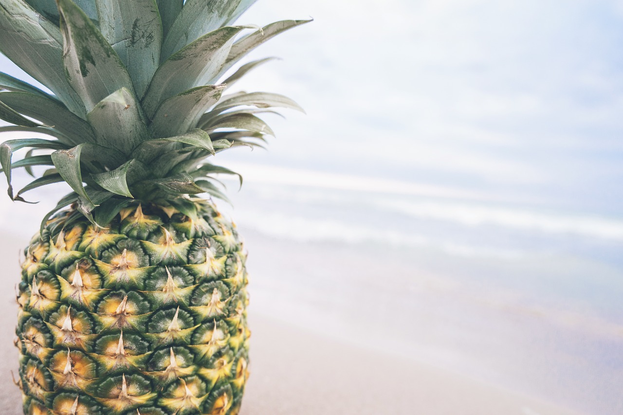 pineapple fruit fresh free photo