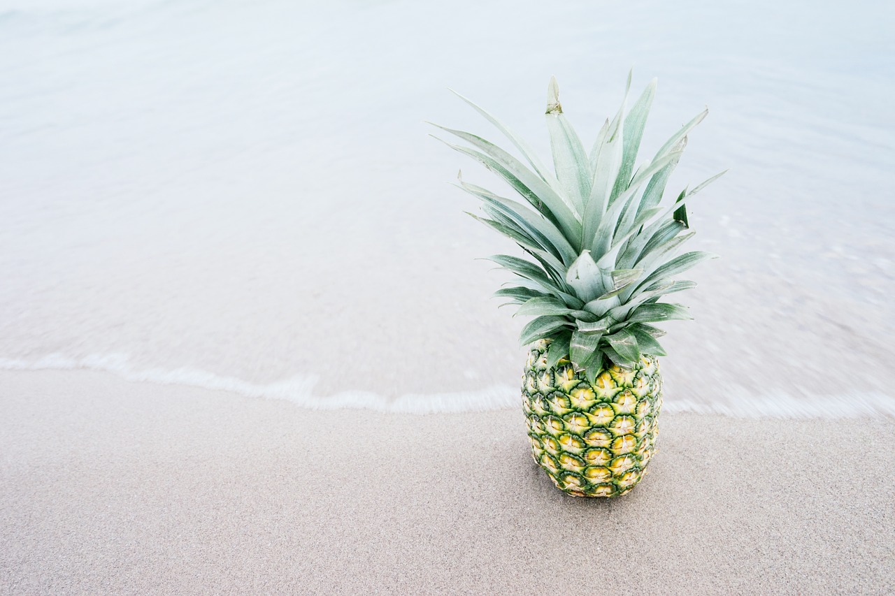 pineapple fruit beach free photo