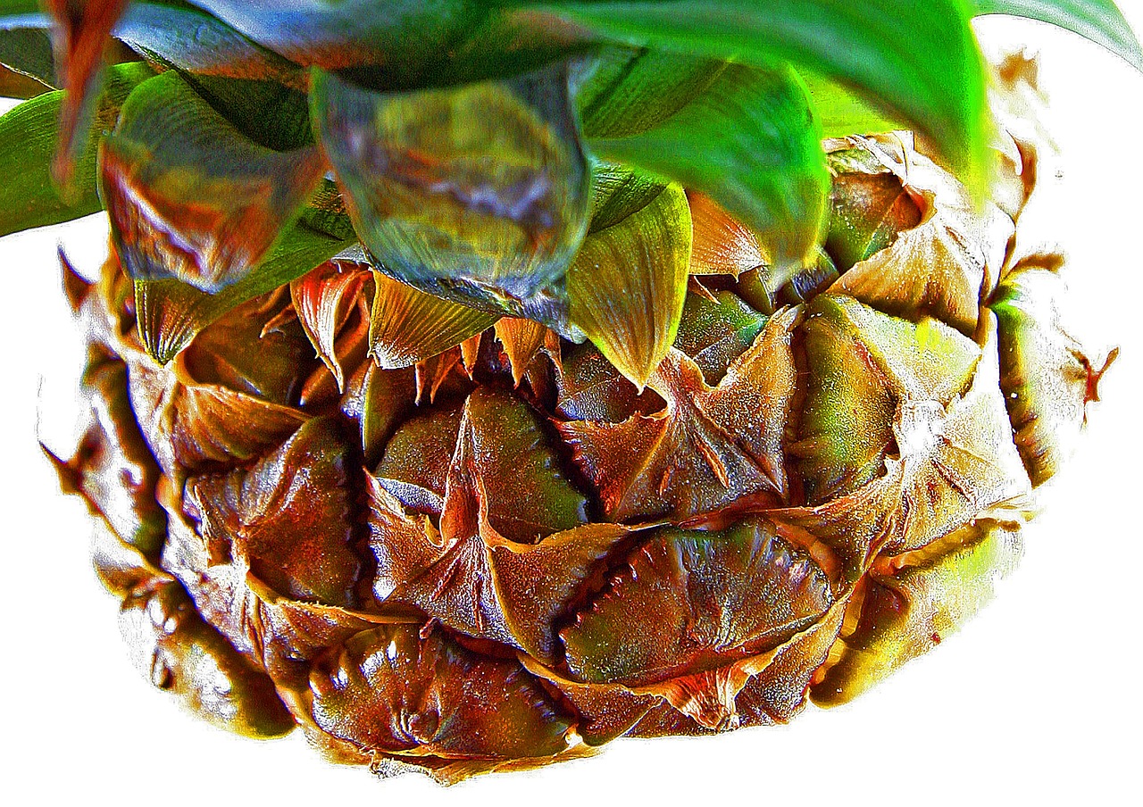 pineapple fruit tropical fruits free photo