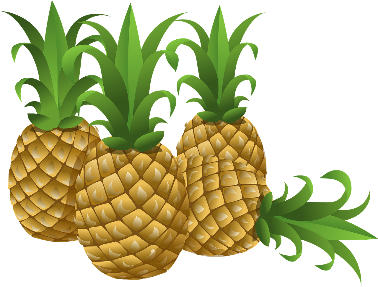 pineapples tropical fruits free photo