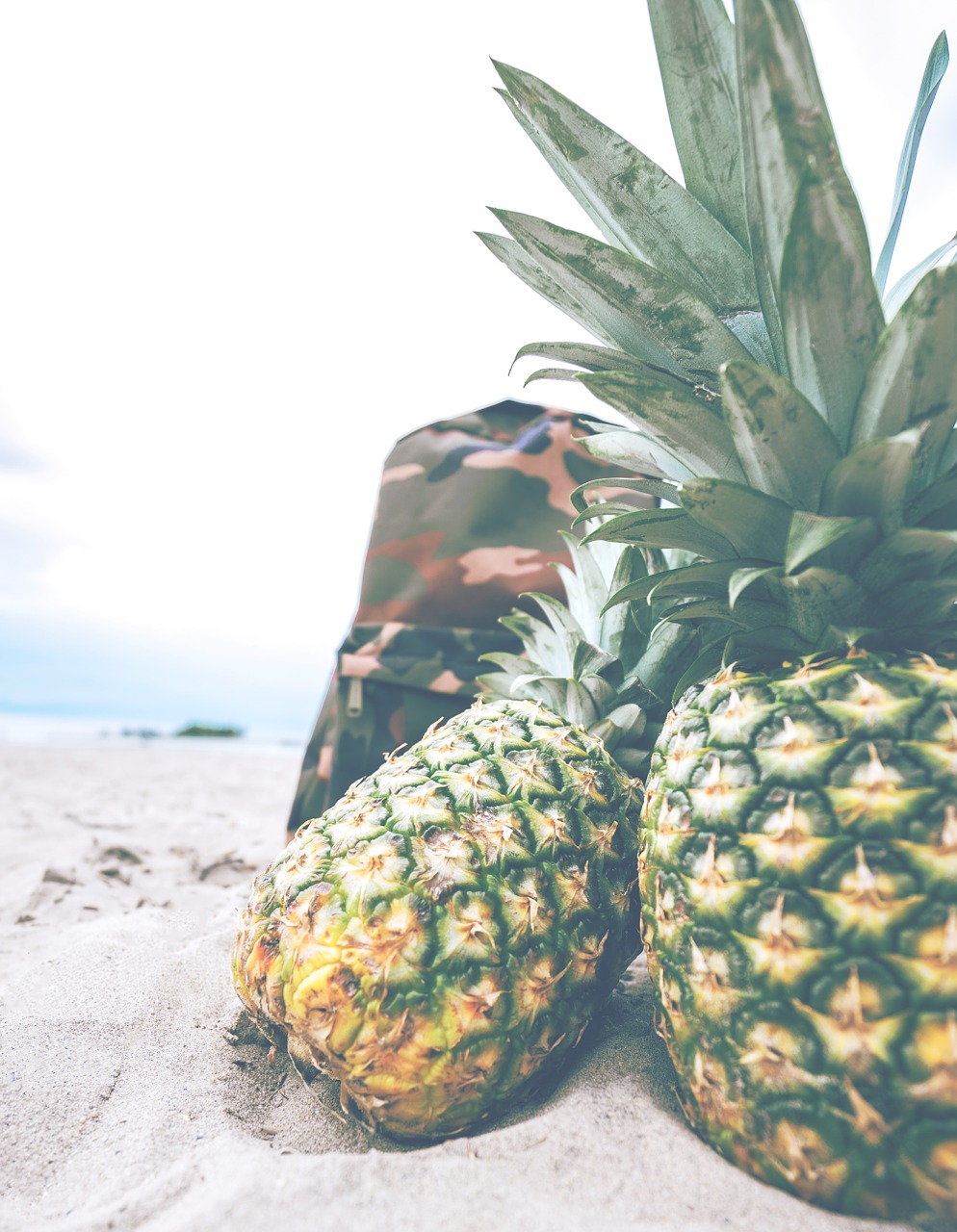 pineapples beach backpack free photo