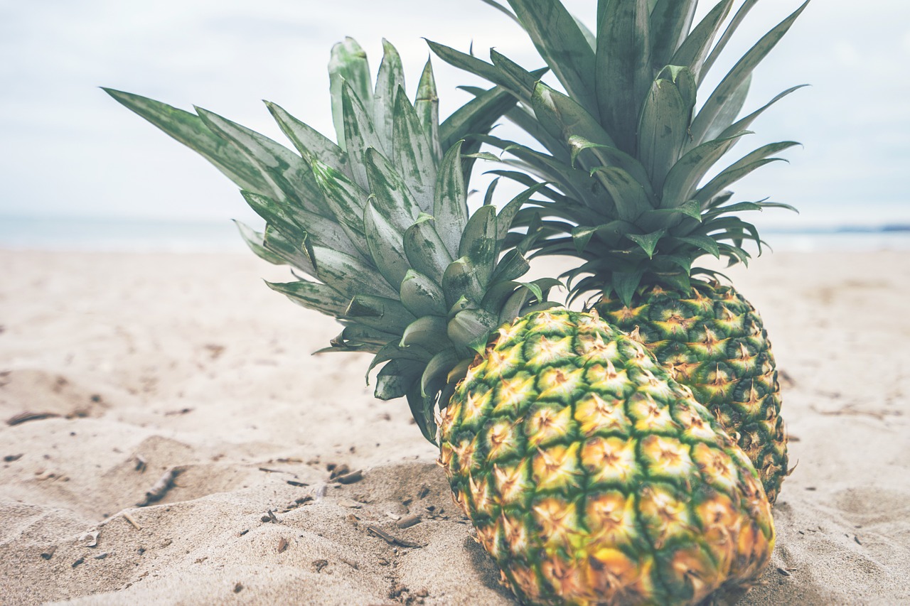 pineapples fruit beach free photo