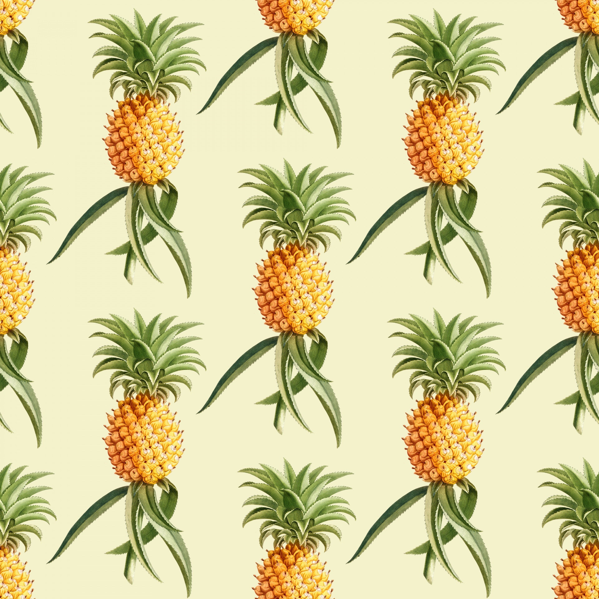 pineapple pineapples background free photo