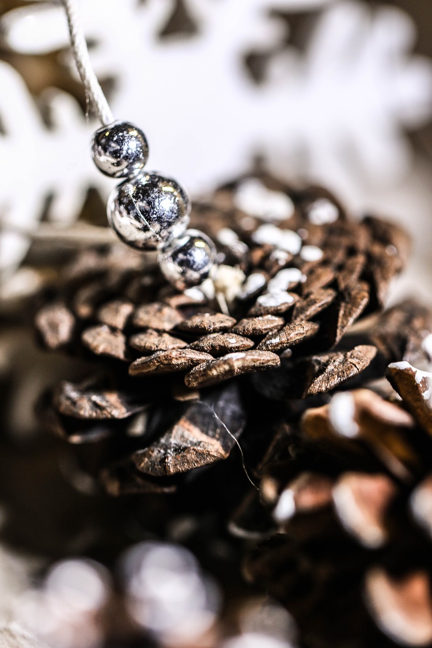 pinecone cone pearls free photo