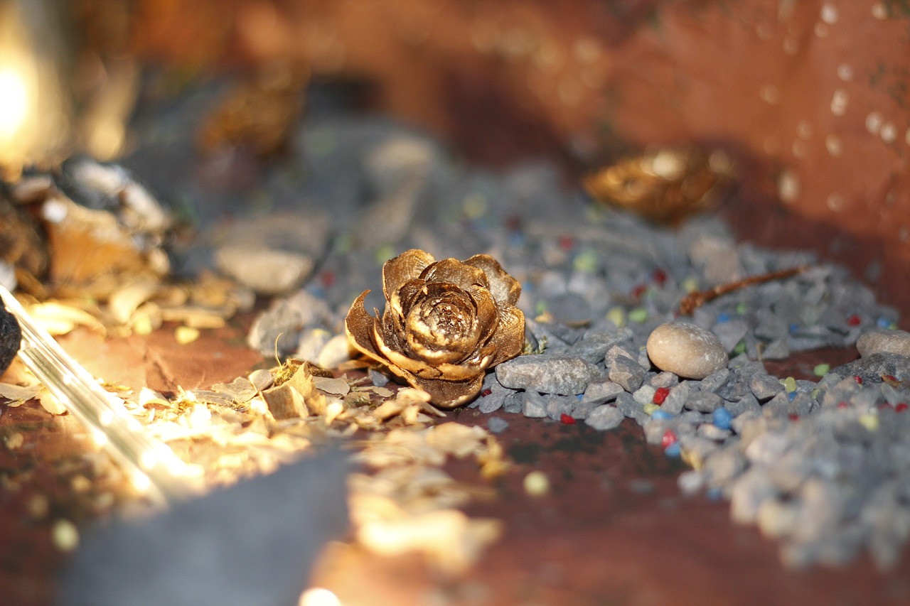 pinecone  pebbles  lighting free photo