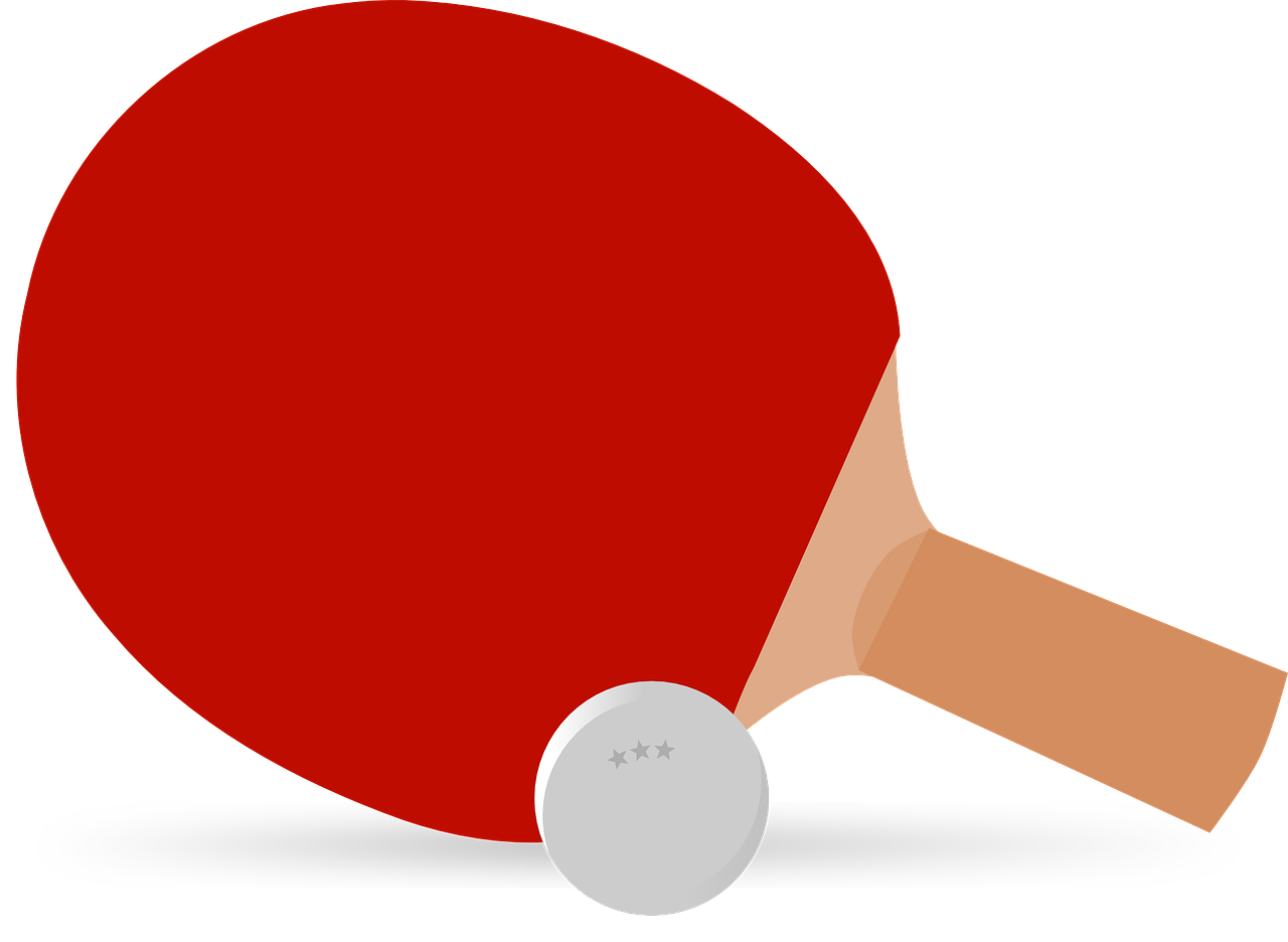 ping-pong table tennis paddle free photo