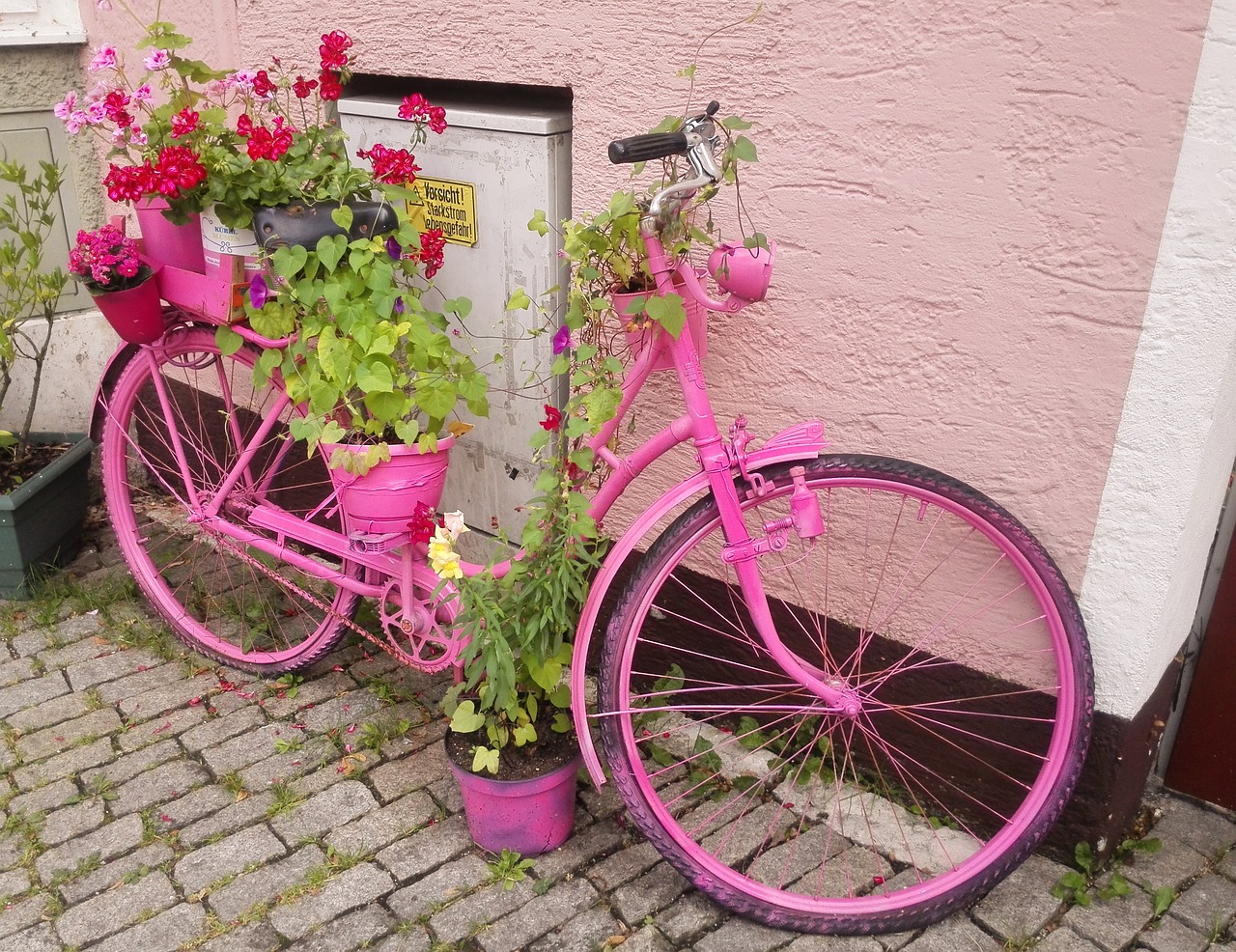 pink bike decor free photo