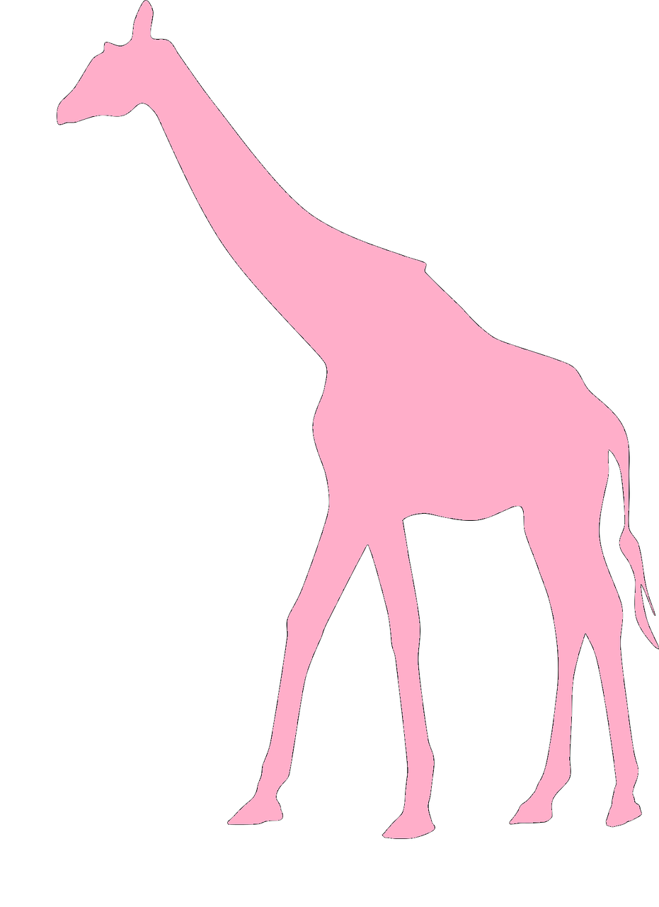 pink giraffe baby girl free photo