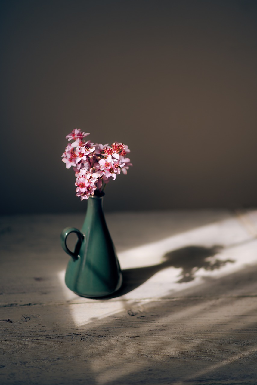 pink flower petals free photo