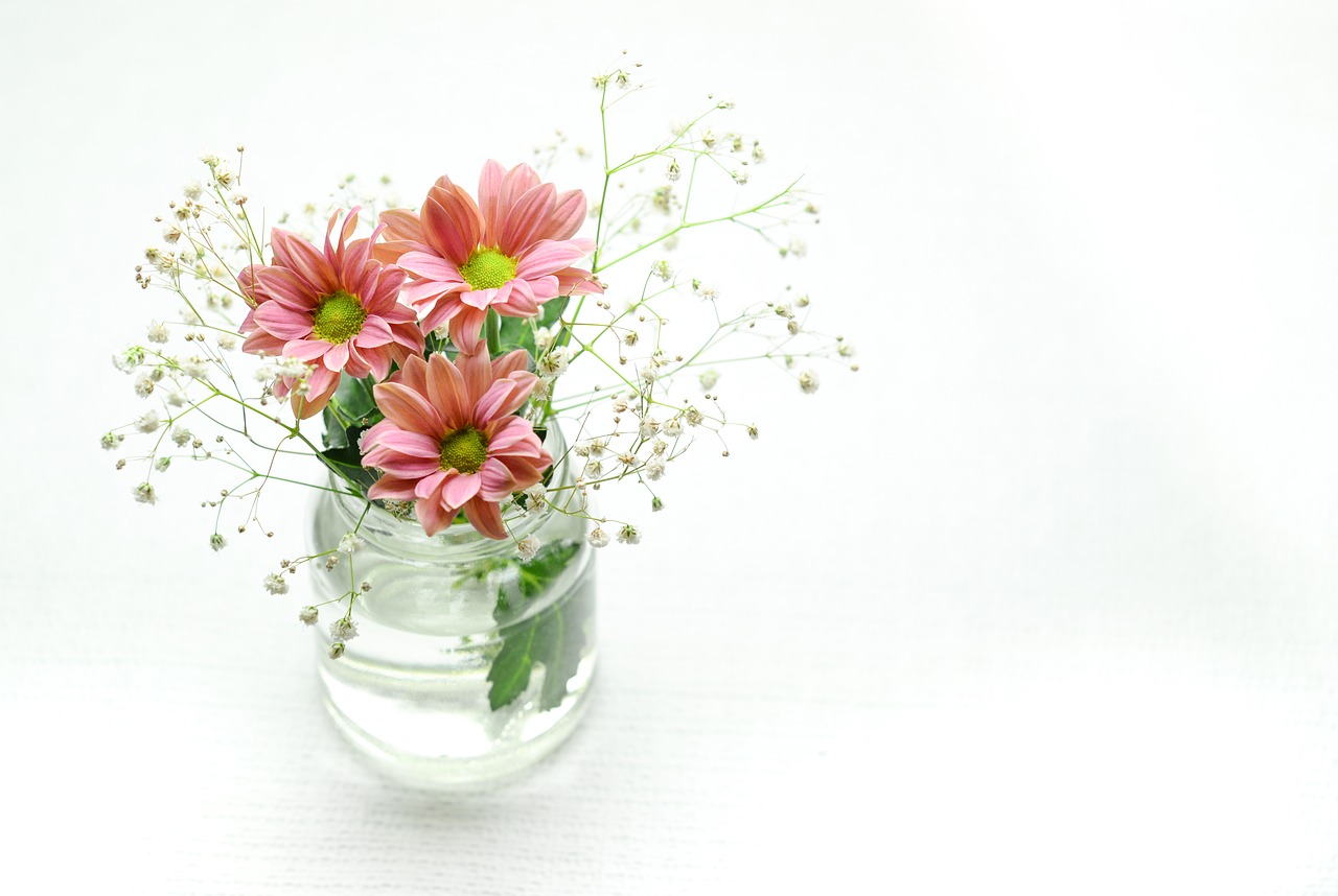 pink flowers bowl free photo