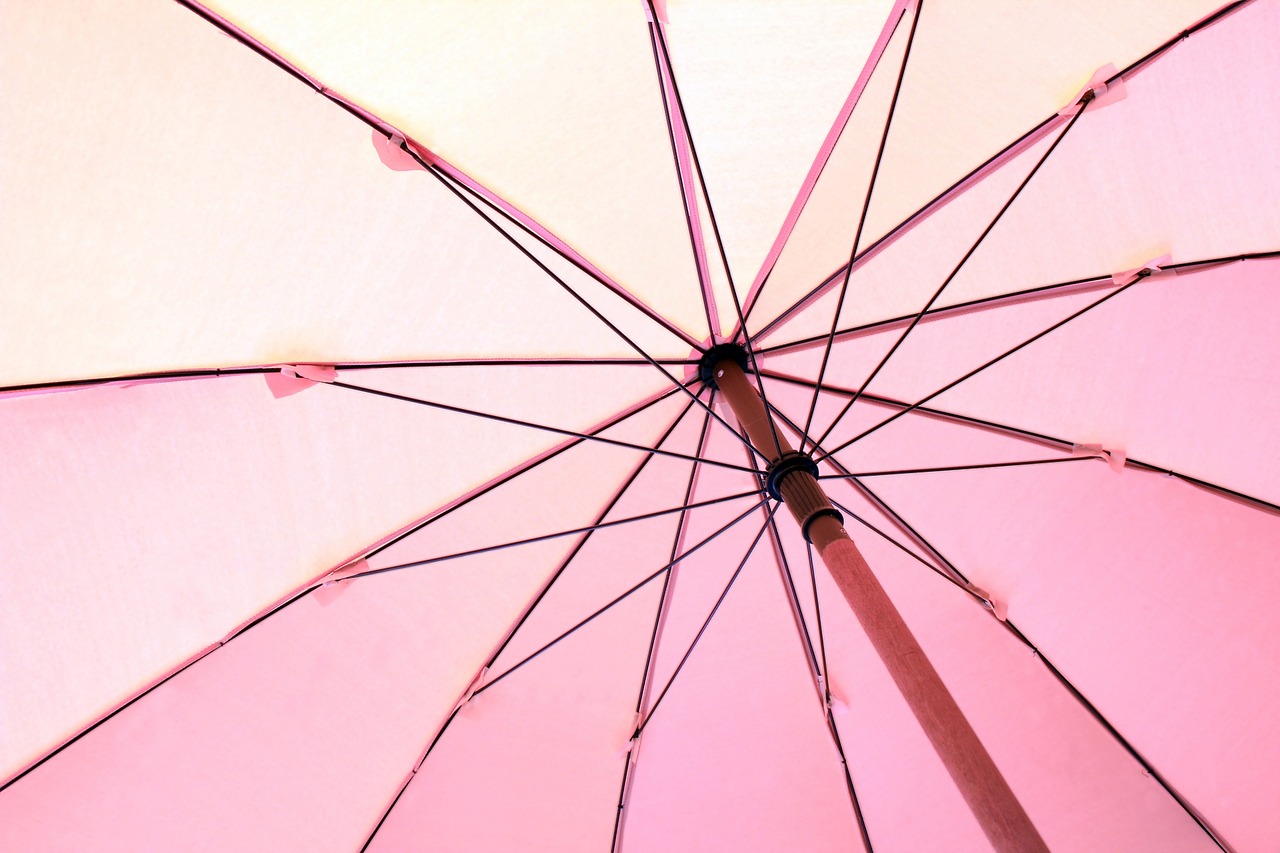 pink umbrella closeup free photo