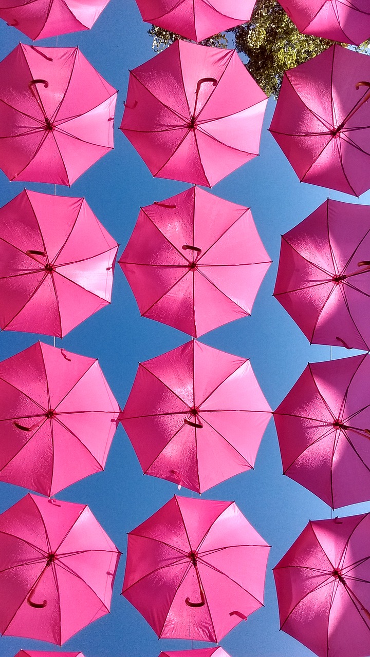 pink parrapluie umbrella free photo