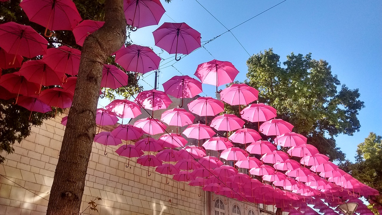 pink parrapluie umbrella free photo