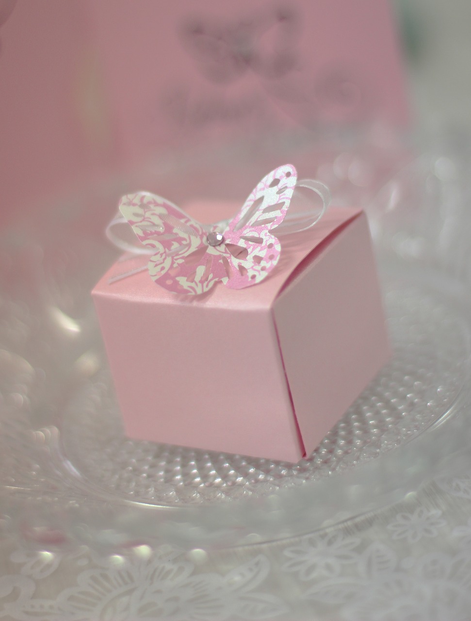 pink  butterfly  box free photo