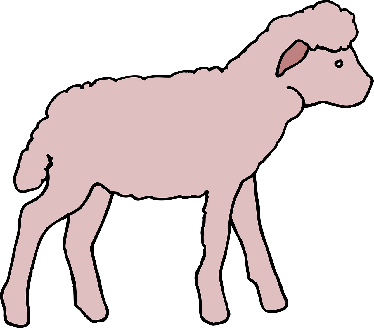 pink lamb animal free photo