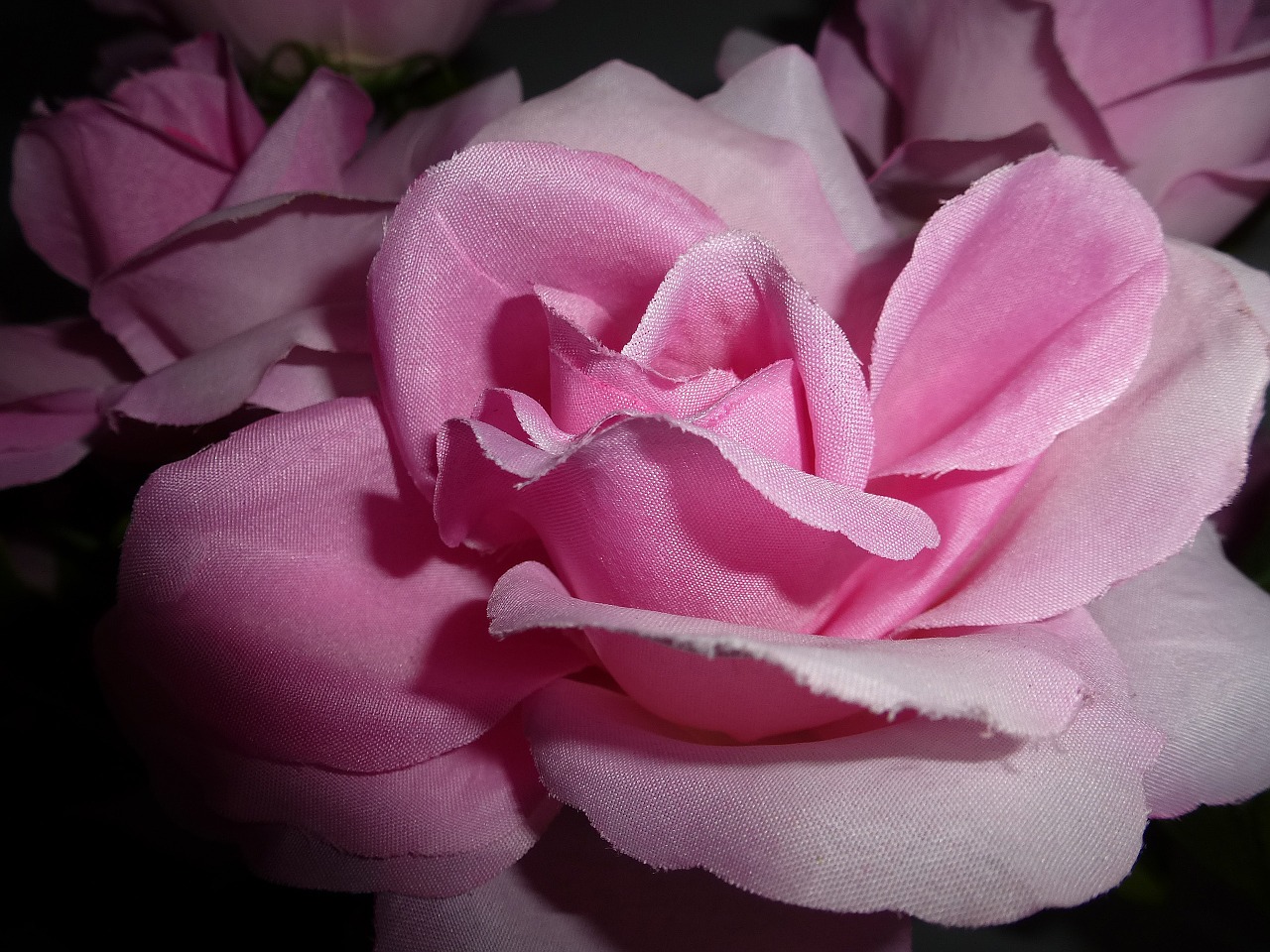 pink flowers artificial free photo