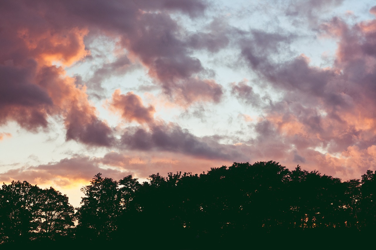 Pink,sky,clouds,trees,woods - free image from needpix.com