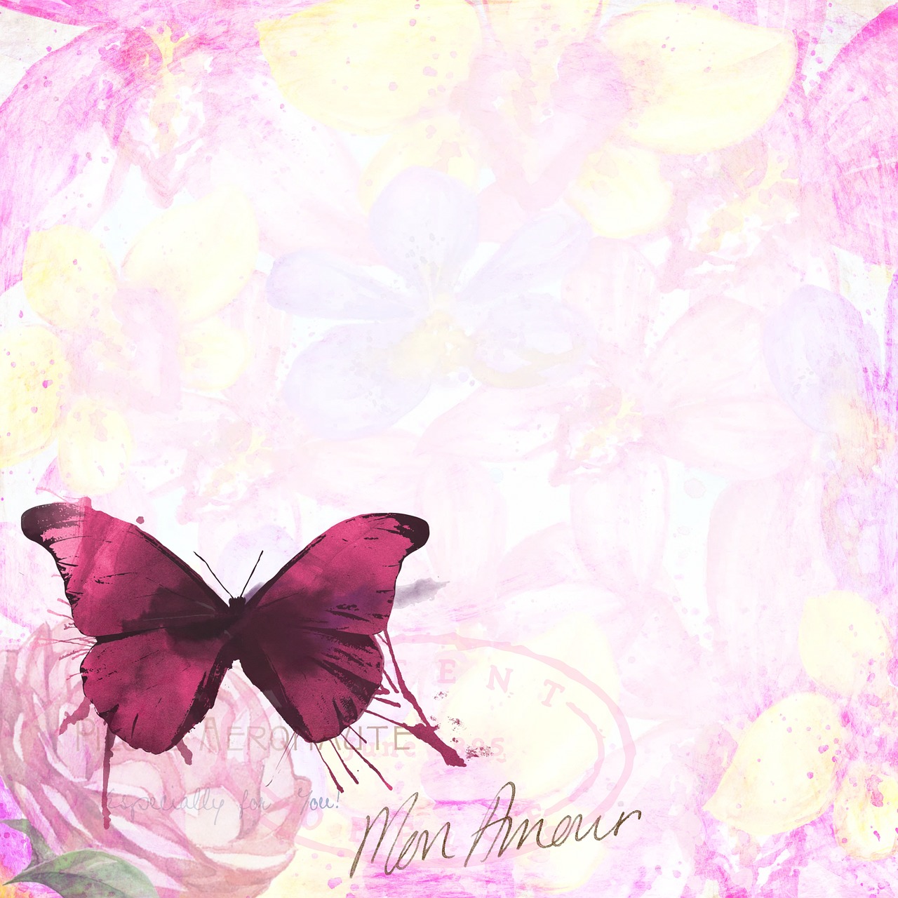 pink butterfly french free photo